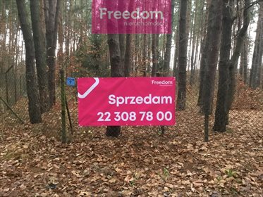 Działka budowlana na sprzedaż Kuleszówka, Cicha 2 066m2 Foto 5