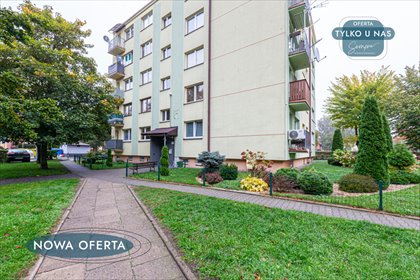 Przestronne 3-pokojowe mieszkanie po remoncie z balkonem mieszkanie Bełchatów, Dolnośląskie