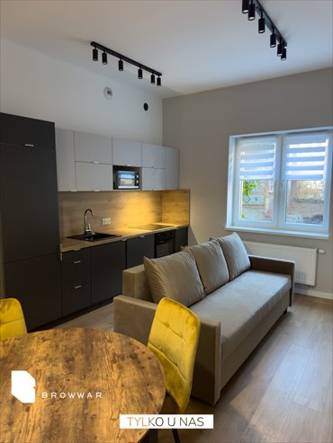 mieszkanie na wynajem 50m2 mieszkanie Poznań, Woźna