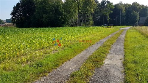 Działka 4000 m² z mediami, las, nowa zabudowa działka Jastrzębie