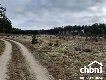 działka na sprzedaż 15939m2 działka Czersk