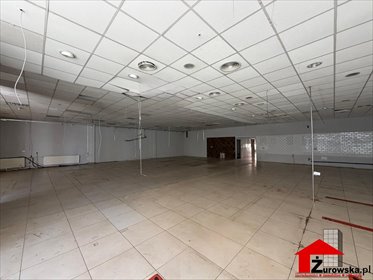 Lokal użytkowy 430 m² w centrum Strzelec Opolskich lokal użytkowy Strzelce Opolskie