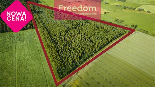 Działka leśna na sprzedaż Parys 93 000m2 Foto 1