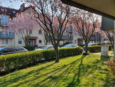 mieszkanie na sprzedaż 76m2 mieszkanie Bielany Wrocławskie, Storczykowa