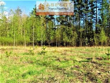 działka na sprzedaż 983m2 działka NIEWODNICA KOŚCIELNA, Niewodnica Kościelna