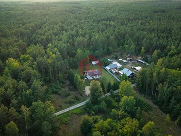 Dom 110 m² z prywatnym lasem i dużą działką - polecam! dom Kamionka