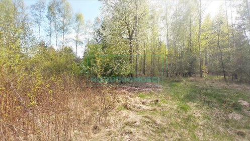 działka na sprzedaż 8300m2 działka Zalesie