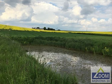 Działka rolna z stawem i rzeczką, 8,9 ha, Jastków działka Moszna, Kol.Moszna