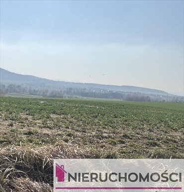 działka na sprzedaż 3330m2 działka Mysłaków