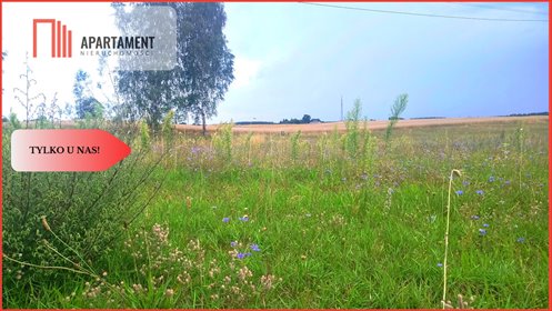 działka na sprzedaż 21600m2 działka Odry