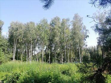 Działka budowlana na sprzedaż Błonie 975m2 Foto 3