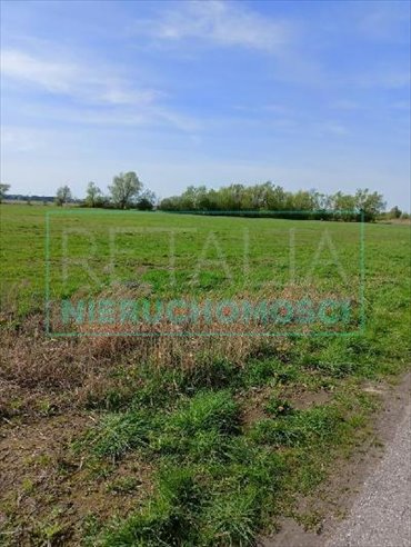 działka na sprzedaż 4730m2 działka Basin