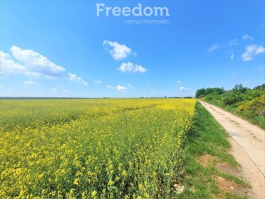 działka na sprzedaż 101500m2 działka Krzewica