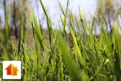 Działka 3275 m² z dostępem do drogi i lasem - polecam! działka Lyski, Wyzwolenia