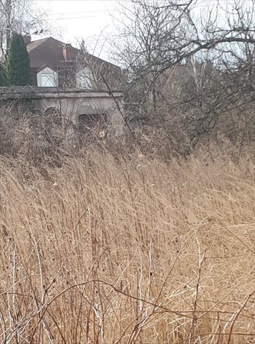 działka na sprzedaż 1204m2 działka Nowa Iwiczna