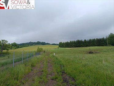 działka na sprzedaż 1055m2 działka Głuszyca