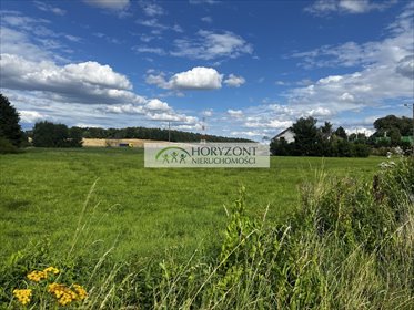 działka na sprzedaż 14800m2 działka Otomino