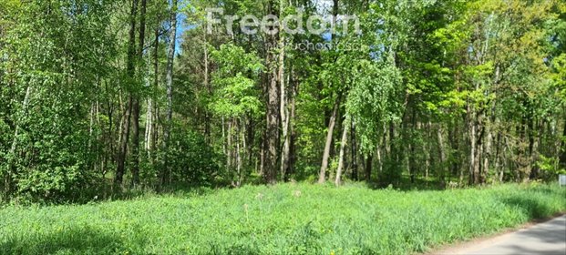 działka na sprzedaż 6100m2 działka Wiśniew