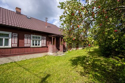 Działka 5200 m² z domem do remontu - polecam dom Dawidowicze
