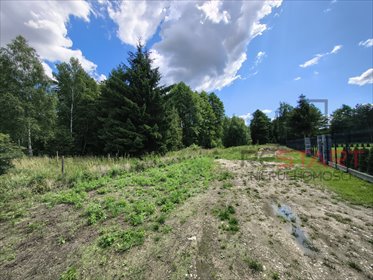Zapraszam do zakupu działek 1280 m² w Budy Zosine działka Budy Zosine