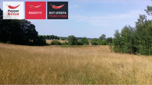 działka na sprzedaż 26300m2 działka Głowaczewo