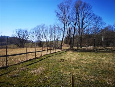 działka na sprzedaż 900m2 działka Bolków