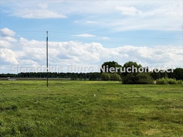 Działka rolna 9 195 m2 z dostępem do drogi gruntowej. działka Złoczew