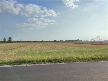 Działka rolna 12 000 m² z mediami, blisko Warszawy działka Żuków