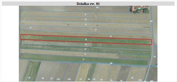działka na sprzedaż 8010m2 działka Obrażejowice, Obrażejowice