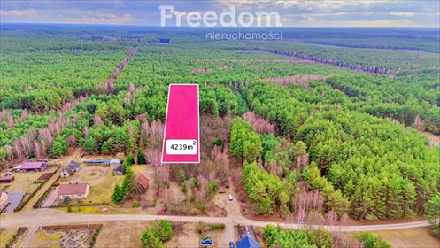 Polecam działkę 4239 m² w Kalinowie z lasem i dostępem do natury działka Kalinowo