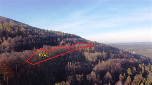 Las w Karpaczu! 14 544 m² lasu w sprzedaży działka Karkonoski
