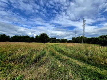 Do sprzedania trzy działki rolne 5757 m² w Chełmie Śląskim działka Chełm Śląski, Gamrot