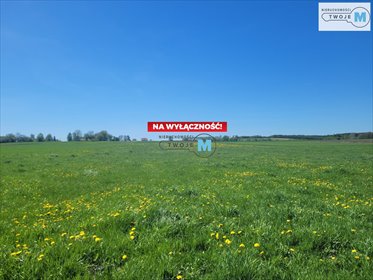 działka na sprzedaż 9881m2 działka Busko-Zdrój, Słabkowice, Słabkowice