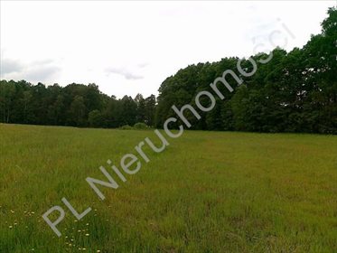 Działka rolna na sprzedaż Sokolnik 15 800m2 Foto 1