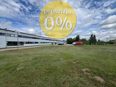 lokal użytkowy na wynajem 432m2 lokal użytkowy Radzymin