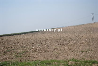Działka inna na sprzedaż Rudno Górne 21 010m2 Foto 1