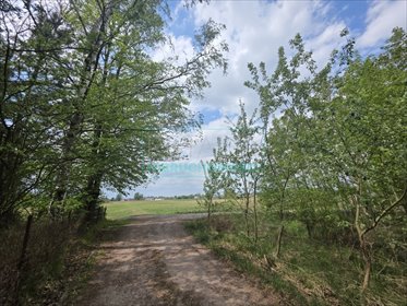 Działka 1585 m² pod dom w Chrzanowie Małym, media w drodze działka Chrzanów Mały