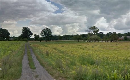 Działka budowlana na sprzedaż Liszkowice 8 000m2 Foto 7