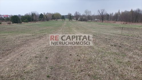 działka na sprzedaż 1500m2 działka Powązki