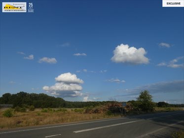 działka na sprzedaż 3160m2 działka Ostromice