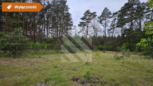 działka na sprzedaż 1356m2 działka Cegielnik