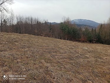 działka na sprzedaż 1986m2 działka Lipowa