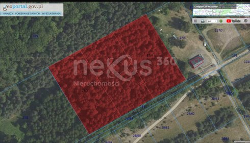 działka na sprzedaż 15000m2 działka Drogoszowice