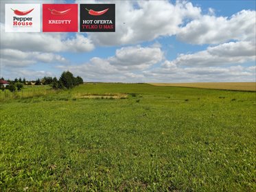 Działka 1527 m² z stawem w Stegnach - polecam działka Stegny