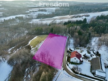 działka na sprzedaż 4544m2 działka Błażkowa