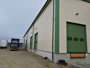 lokal użytkowy na wynajem 1500m2 lokal użytkowy Hala/Magazyn , 1500 m², Puławy, Dęblin Zwoleń
