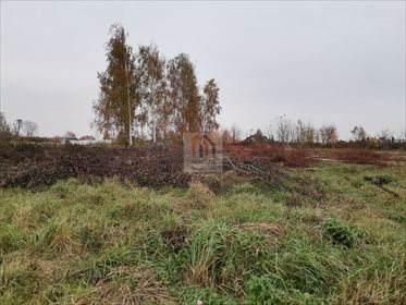 działka na sprzedaż 1225m2 działka Szerokie