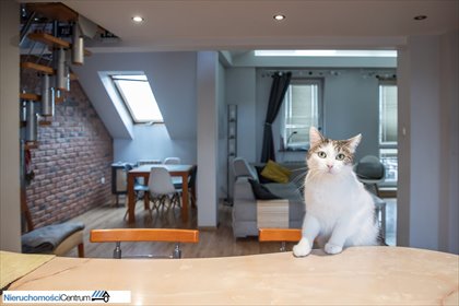 mieszkanie na sprzedaż 86m2 mieszkanie Kraków, Krowodrza, Żabiniec