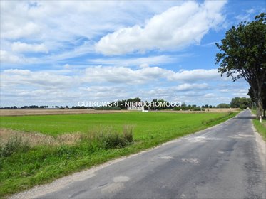 Do sprzedania działki budowlane w Starzykowie 9000 m² działka Starzykowo