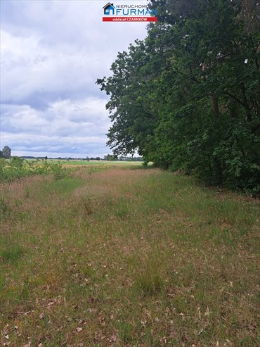 Działka 1,7 ha z lasem i gruntami rolnymi - potencjał! działka Sokołowo